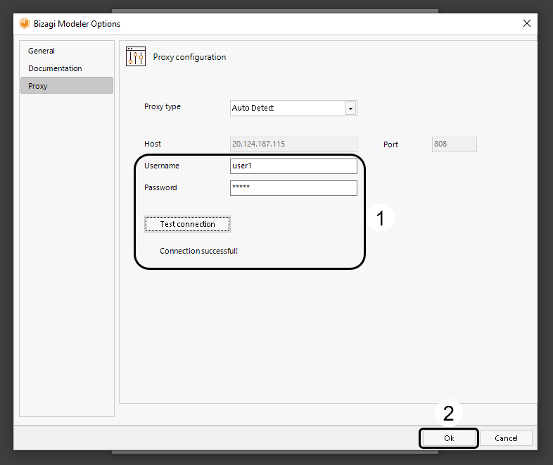 Proxy_setup_windows04