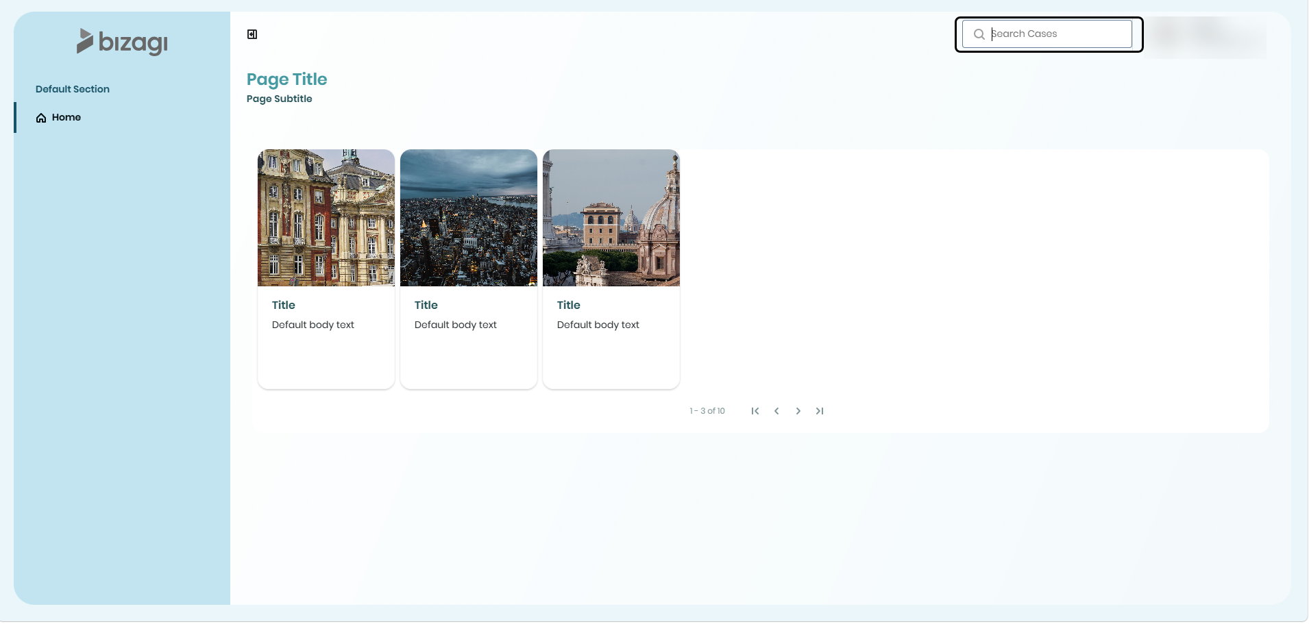 CaseSearch02